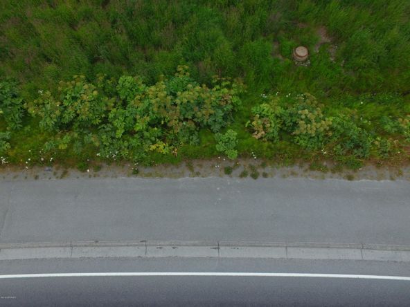 3658 Forest Glen Dr, Homer, AK 99603